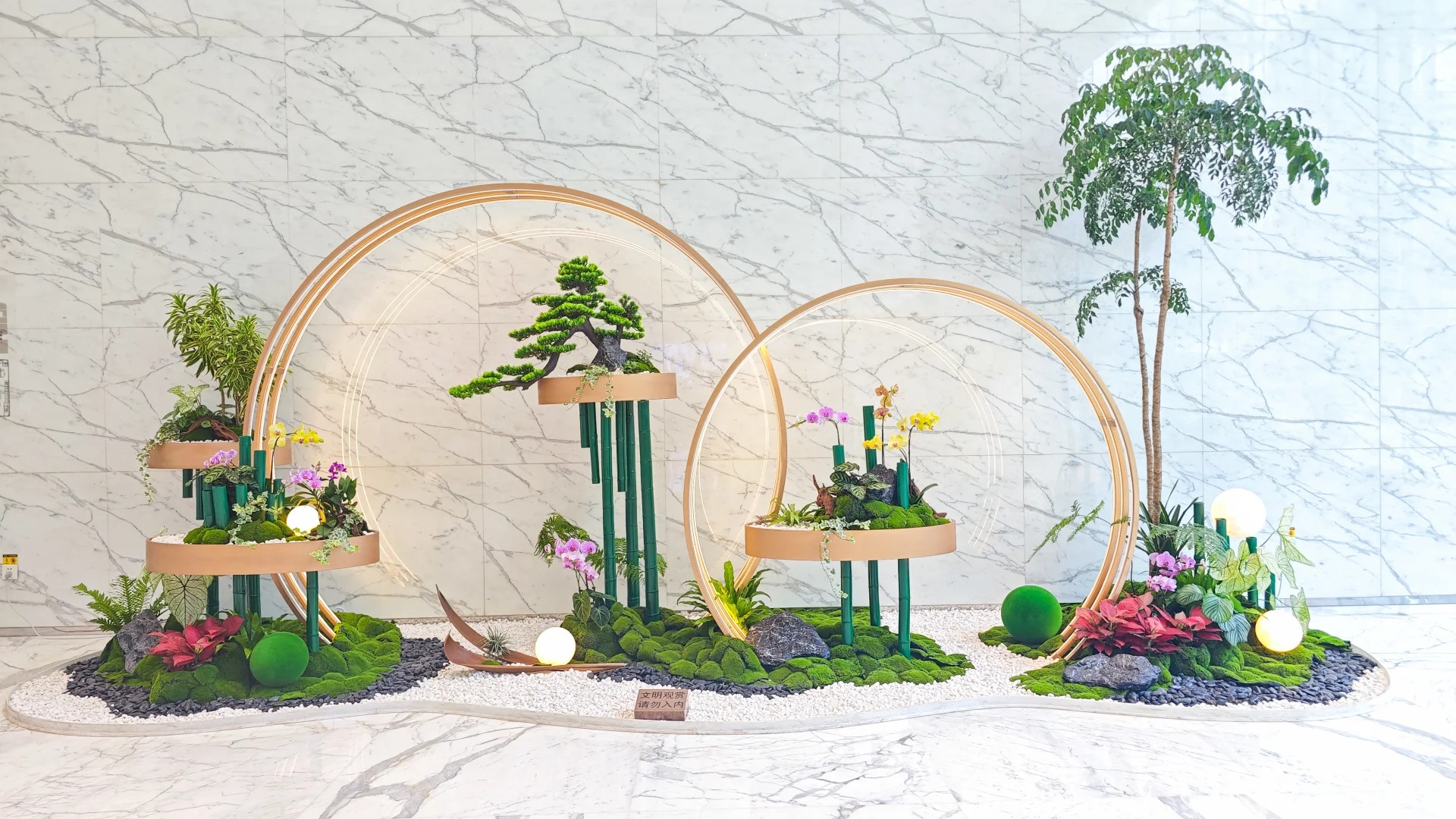 余姚植物租赁专业，绿植焕新办公空间